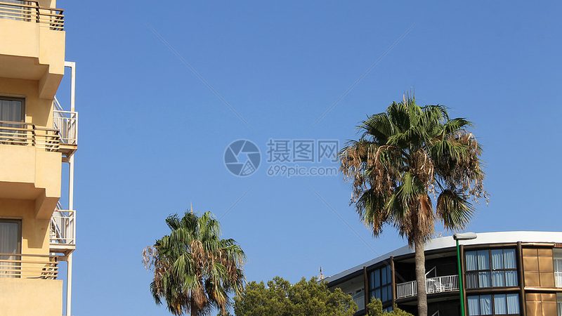 行业背景：旅游线路批发公司的作用
